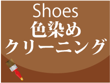 Shoes F߁EN[jO